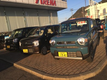 春らしくなってきましたね!